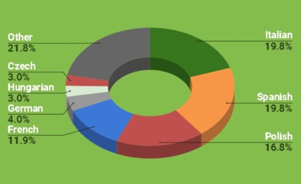 Summer camp nationality mix 2024
